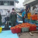 구룡포대게과메기해산물 이미지