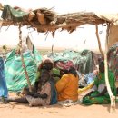 3/27 해외소식. 토픽 화제 포토 이미지