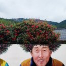 기동식당 이미지