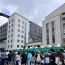 2023 하나플레이리스트 좌석 시야 연대노천극장 후기 | 잔나비, 데이브레이크, 아이브 (지정석R B구역...