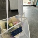 페트리코플라워 이미지