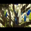 디오크(The oak) 이미지