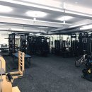 필라트니스 이미지