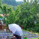 이을 한옥 스테이 이미지