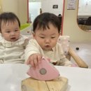 카페394 이미지