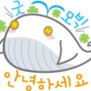 중산회관 | (10분 요약,상급) 비트모빅 대둔산 에어드랍 행사 후기, 오태민 비트모빅 토요라이브 -250913