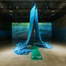 물의 기억 이미지