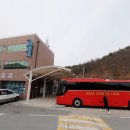 도림 이미지