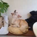 오영농장 이미지