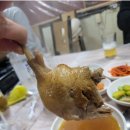 송골농장 이미지