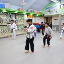 명지 키즈 태권도 이미지