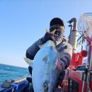 녹동온스테이 | 방어 지깅 낚시배 고흥 스페셜드림 출조 조황 예약