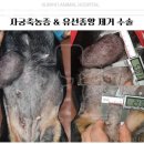 백두산동물병원