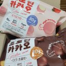 바디나인_프로틴 카카오