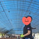 퀸즈승마장 이미지