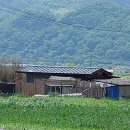 금환농장 네이버블로그