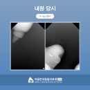 매탄동물병원 이미지