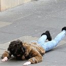 심학산로(2) 이미지