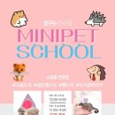 미니펫스쿨(Minipet School) 이미지