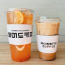 매머드익스프레스사천카이점