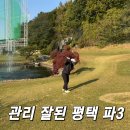 도일유통 | 평택 파3 추천 동진골프클럽 관리 잘 된 숏게임 연습장 후기
