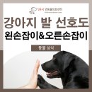 24시연동물의료센터 이미지