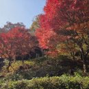 신선동-14 이미지