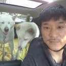 도란도란동물병원 이미지