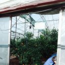 삼일산장 이미지