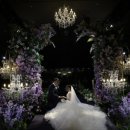 호텔드레 | 호텔같은 웨딩홀, 더파티움여의도에서의 영화같은 웨딩 데이 💍 그랜드 컨벤션홀 리얼 본식 후기