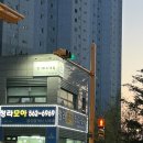 반스네일 이미지