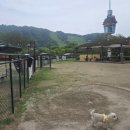 팔봉산마트식당 네이버블로그