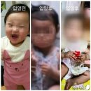 법무법인정인