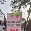 파크모텔 | 논산모텔 제이제이파크모텔 딸기축제 다녀오고 묵은 숙소 후기