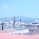 신동아국제여행사 이미지