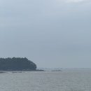 배미꾸미조각공원 | 타고 신도, 시도, 모도 드라이브! (박주기, 해당화길, 배미꾸미 조각공원) 모도에서 모먹지?! (마레테이블)