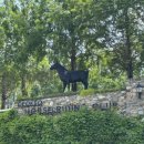 덕소 승마클럽 이미지