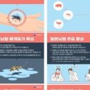 일본뇌염모기 감염 경보 치사율 뇌염 증상 치료 백신 이미지