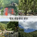 샛들민박 | 대구 인근 청도 깊은 계곡 평상 샛들펜션(위치, 가격, 수위, 예약 등등)