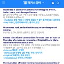 57Sep 23th Tues;Mudslides in southern California 이미지