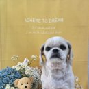 댕곤댕곤 이미지