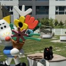 꼬마애견샵 | 프리미엄 반려견 전용 복합 문화공간 동탄 애견카페 위드랜드 동탄점