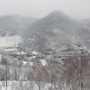 배나무꽃 캠핑장 이미지