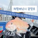 GS25안면백사장항점 | 제주도 체험낚시 이색데이트로 추천 잿방어 참돔 잡은 후기 체험배낚시 광명호