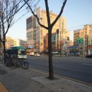 수원-1294 이미지