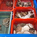 청량리수산시장 이미지