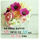 참맛 이미지