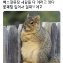 취업 잘되는 학과 특징 이미지