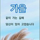 땡감