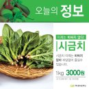 참다운푸드 이미지